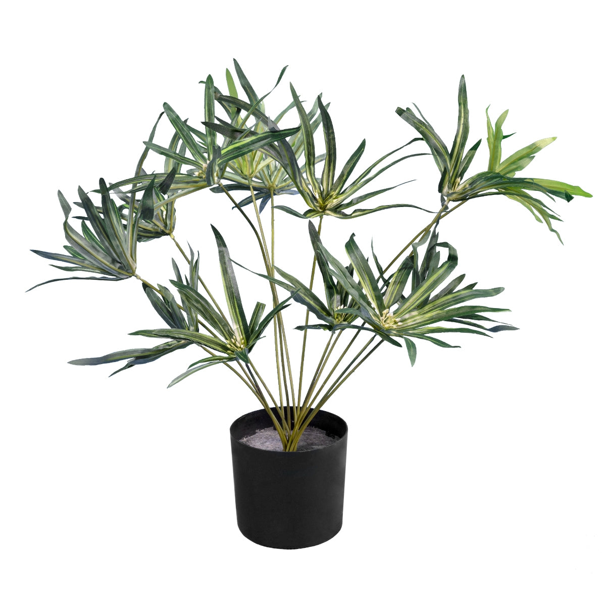 GloboStar® Artificial Garden BROADLEAF LADY PALM 20059 Τεχνητό Διακοσμητικό Φυτό Πλατύφυλλος Φοίνικας Μπαμπού Υ50cm - ledmania.gr