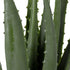 GloboStar® Artificial Garden ALOE 20064 Τεχνητό Διακοσμητικό Φυτό Αλόη Υ38cm - ledmania.gr
