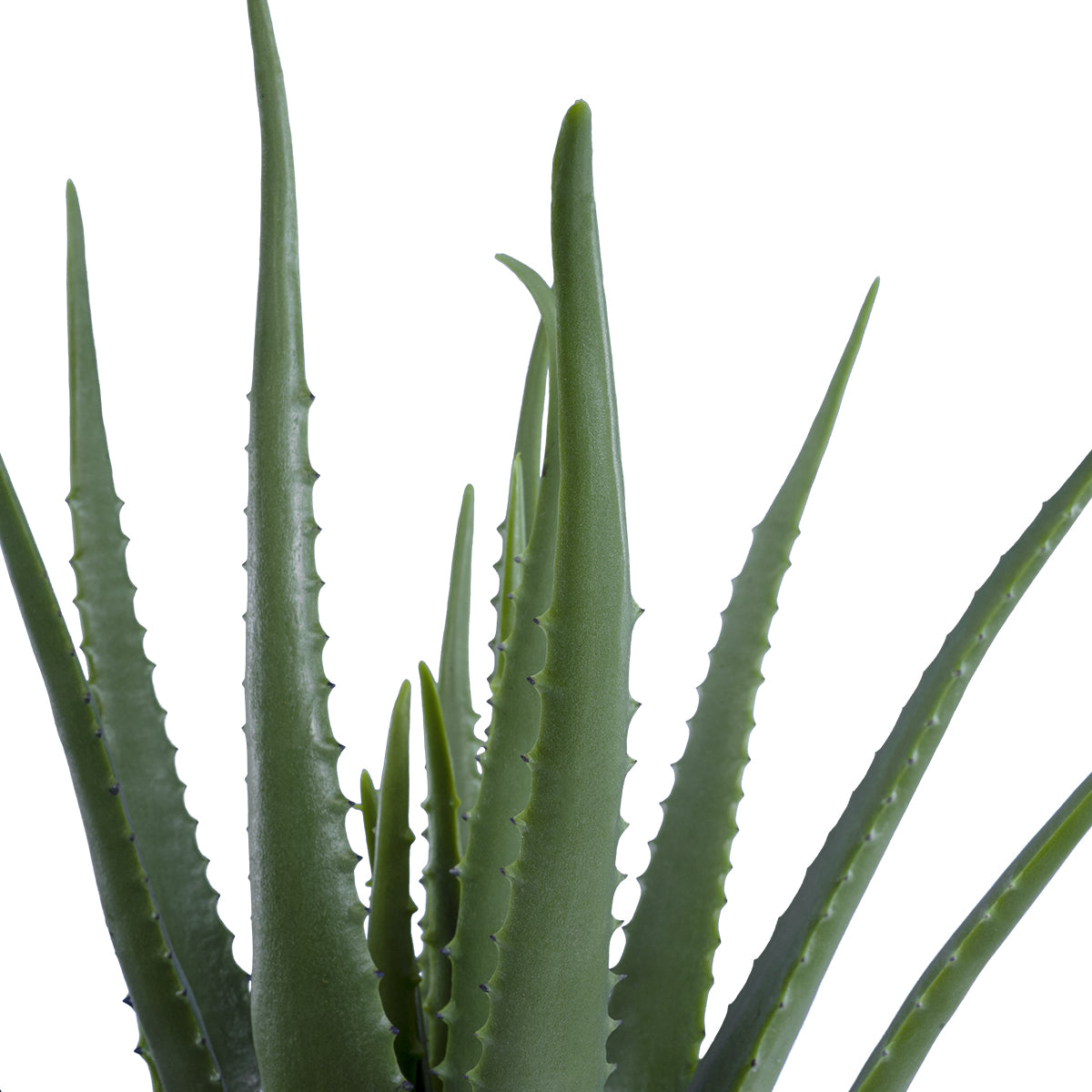 GloboStar® Artificial Garden ALOE 20065 Τεχνητό Διακοσμητικό Φυτό Αλόη Υ50cm - ledmania.gr