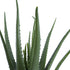 GloboStar® Artificial Garden ALOE 20065 Τεχνητό Διακοσμητικό Φυτό Αλόη Υ50cm - ledmania.gr