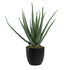 GloboStar® Artificial Garden ALOE 20065 Τεχνητό Διακοσμητικό Φυτό Αλόη Υ50cm - ledmania.gr
