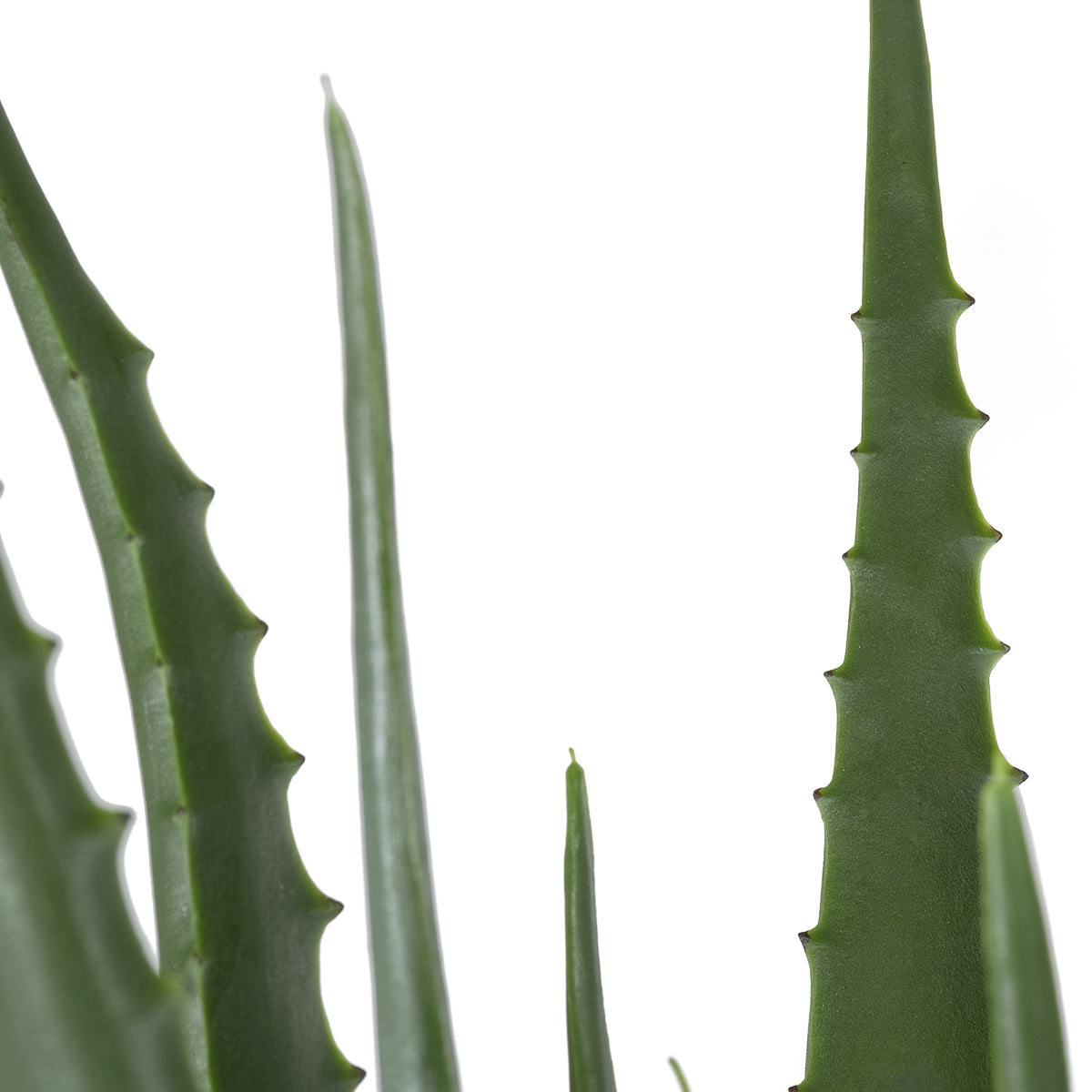 GloboStar® Artificial Garden ALOE 20066 Τεχνητό Διακοσμητικό Φυτό Αλόη Υ65cm - ledmania.gr