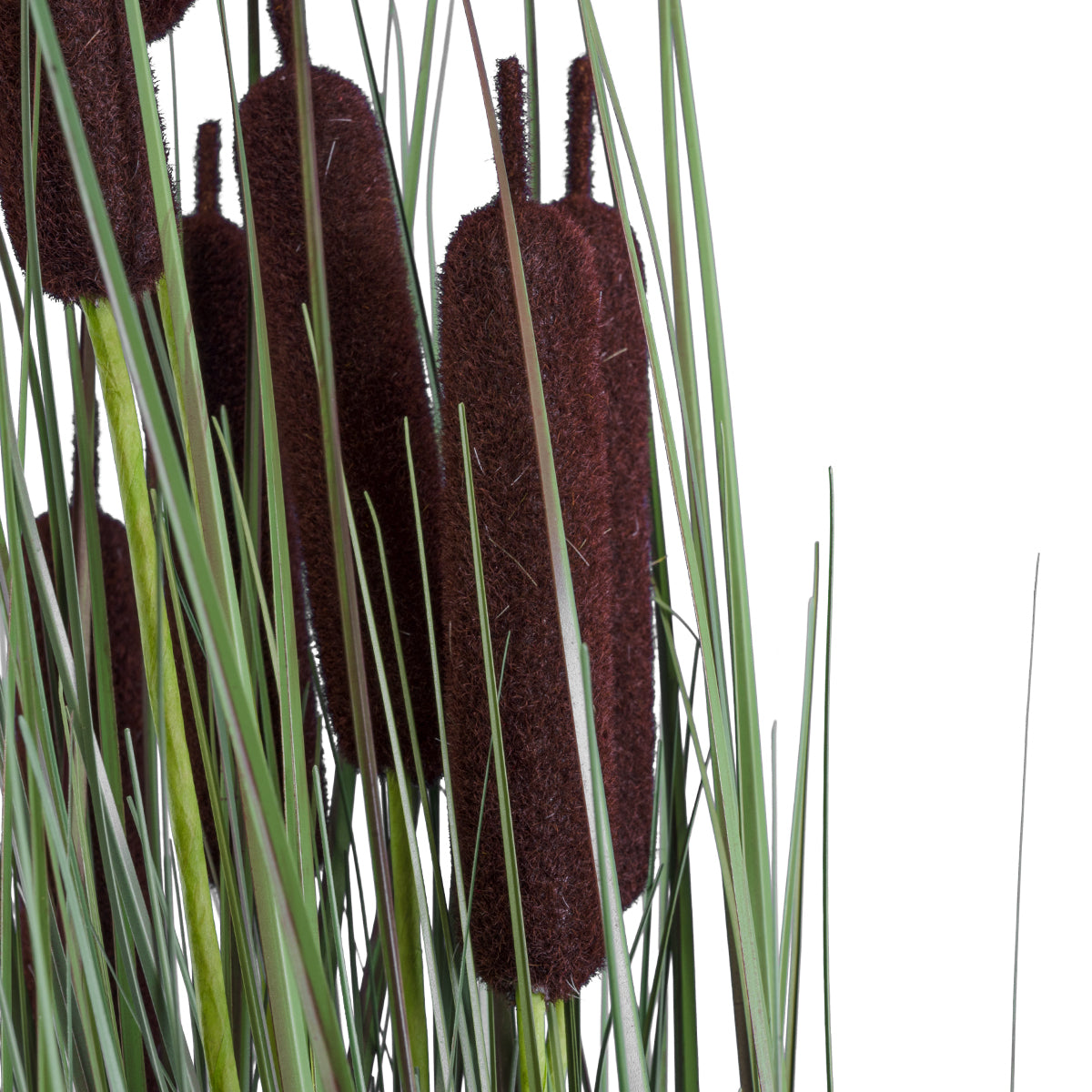 GloboStar® Artificial Garden TYPHA ANGUSTIFOLIA GRASS 20069 Τεχνητό Διακοσμητικό Φυτό Γρασίδι της Τύφας Υ90cm - ledmania.gr