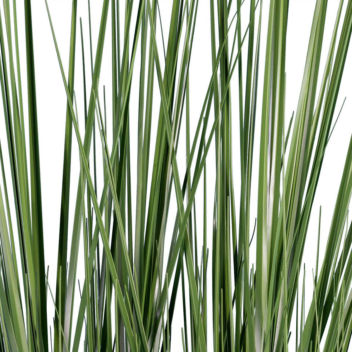 GloboStar® Artificial Garden PAMPAS GRASS 20071 Τεχνητό Διακοσμητικό Φυτό Γρασίδι της Πάμπας Υ150cm - ledmania.gr