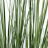 GloboStar® Artificial Garden PAMPAS GRASS 20071 Τεχνητό Διακοσμητικό Φυτό Γρασίδι της Πάμπας Υ150cm - ledmania.gr