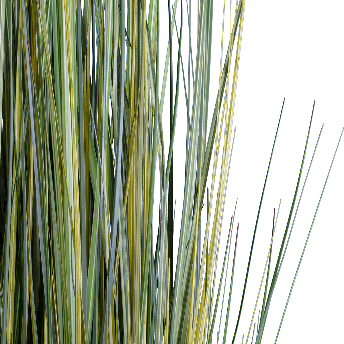 GloboStar® Artificial Garden PAMPAS GRASS 20072 Τεχνητό Διακοσμητικό Φυτό Γρασίδι της Πάμπας Υ170cm - ledmania.gr