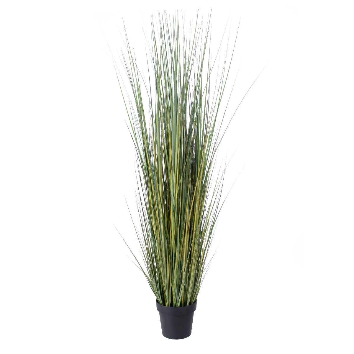 GloboStar® Artificial Garden PAMPAS GRASS 20072 Τεχνητό Διακοσμητικό Φυτό Γρασίδι της Πάμπας Υ170cm - ledmania.gr