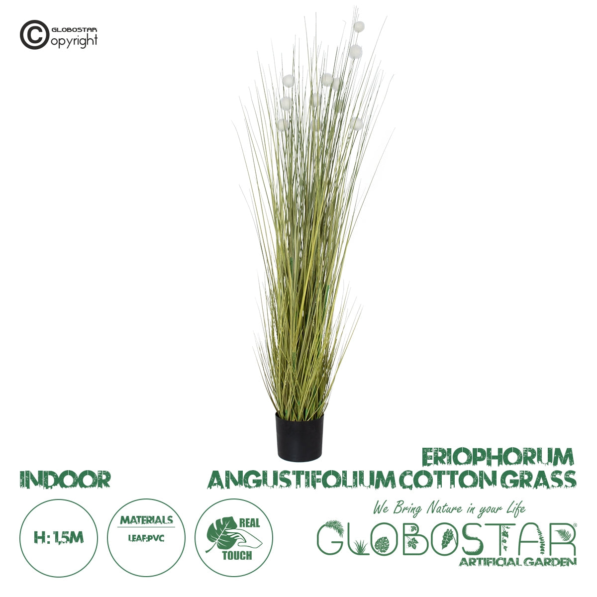 GloboStar® Artificial Garden ERIOPHORUM ANGUSTIFOLIUM COTTON GRASS 20073 Τεχνητό Διακοσμητικό Φυτό Γρασίδι του Βαμβακιού Υ150cm - ledmania.gr