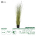 GloboStar® Artificial Garden ERIOPHORUM ANGUSTIFOLIUM COTTON GRASS 20073 Τεχνητό Διακοσμητικό Φυτό Γρασίδι του Βαμβακιού Υ150cm - ledmania.gr