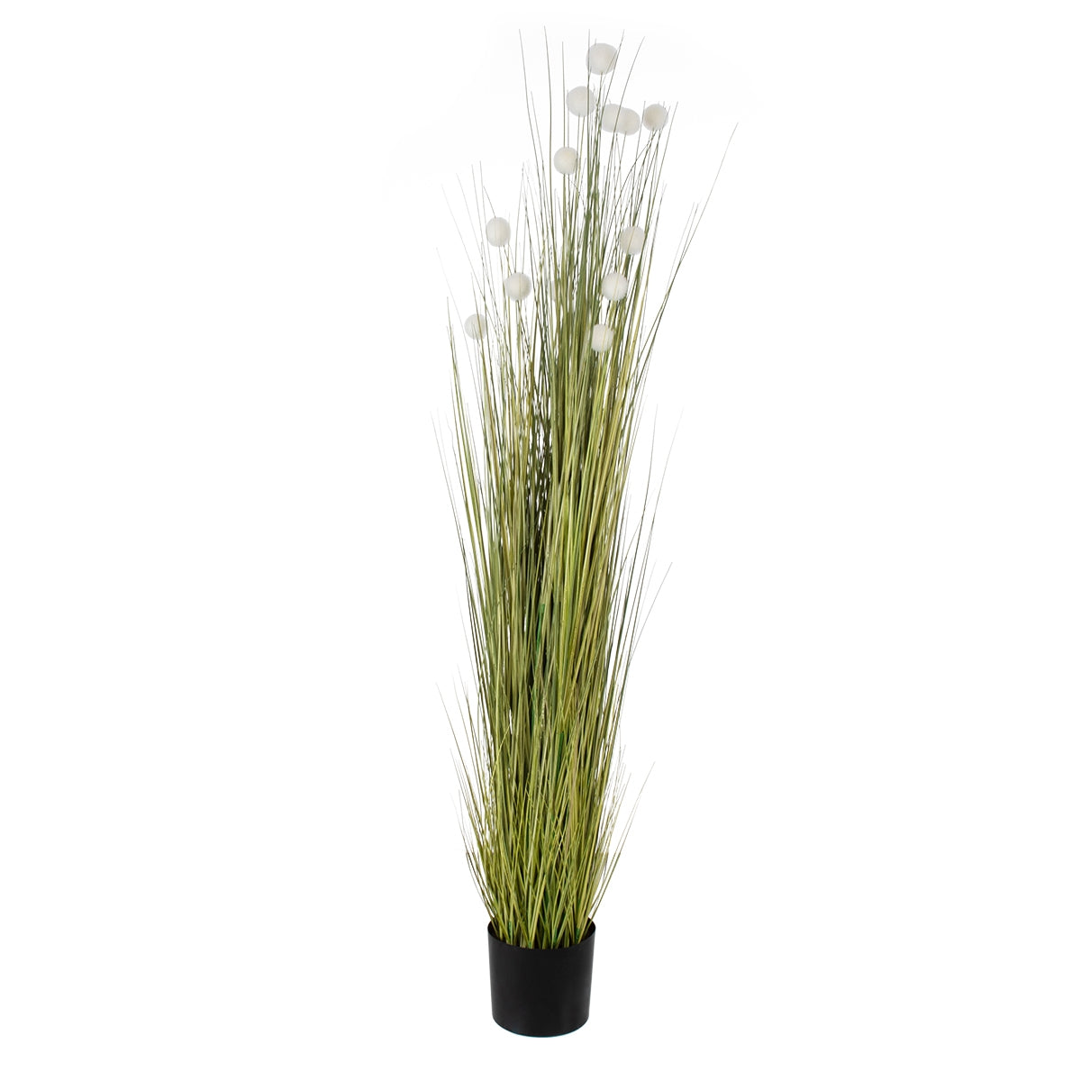 GloboStar® Artificial Garden ERIOPHORUM ANGUSTIFOLIUM COTTON GRASS 20074 Τεχνητό Διακοσμητικό Φυτό Γρασίδι του Βαμβακιού Υ170cm - ledmania.gr
