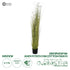 GloboStar® Artificial Garden ERIOPHORUM ANGUSTIFOLIUM COTTON GRASS 20074 Τεχνητό Διακοσμητικό Φυτό Γρασίδι του Βαμβακιού Υ170cm - ledmania.gr