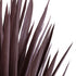 GloboStar® Artificial Garden SISAL AGAVE 20075 Τεχνητό Διακοσμητικό Φυτό Αγαύη Υ70cm - ledmania.gr