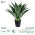 GloboStar® Artificial Garden SISAL AGAVE 20077 Τεχνητό Διακοσμητικό Φυτό Αγαύη Υ90cm - ledmania.gr
