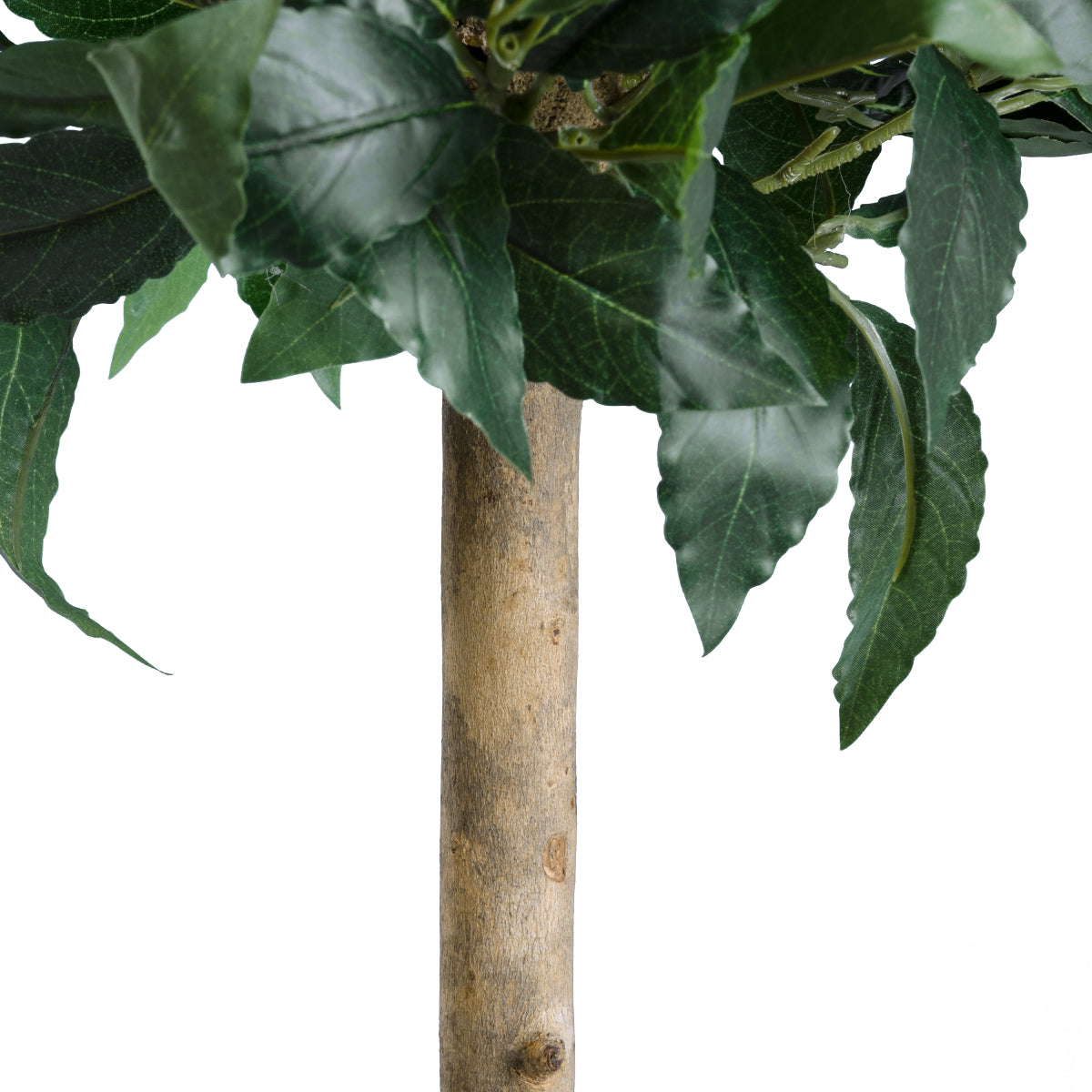 GloboStar® Artificial Garden LAUREL 20084 Τεχνητό Διακοσμητικό Φυτό Δάφνη Υ120cm - ledmania.gr