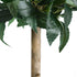 GloboStar® Artificial Garden LAUREL 20084 Τεχνητό Διακοσμητικό Φυτό Δάφνη Υ120cm - ledmania.gr