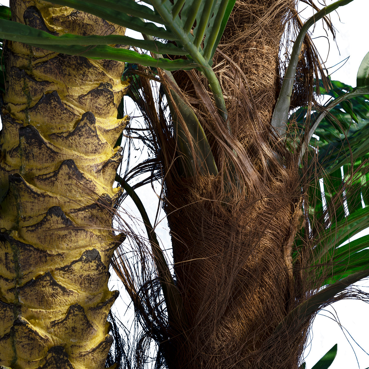 GloboStar® Artificial Garden COCONUT PALM TREE 20087 Τεχνητό Διακοσμητικό Φυτό Φοινικόδεντρο Κοκοφοίνικας Υ350cm - ledmania.gr