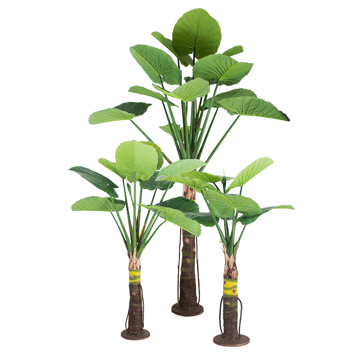 GloboStar® Artificial Garden TARO SET 20089 Τεχνητό Διακοσμητικό Σετ Φυτών Κολοκασία A:Υ300cm B:Υ210cm C:160cm - ledmania.gr