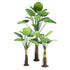 GloboStar® Artificial Garden TARO SET 20089 Τεχνητό Διακοσμητικό Σετ Φυτών Κολοκασία A:Υ300cm B:Υ210cm C:160cm - ledmania.gr