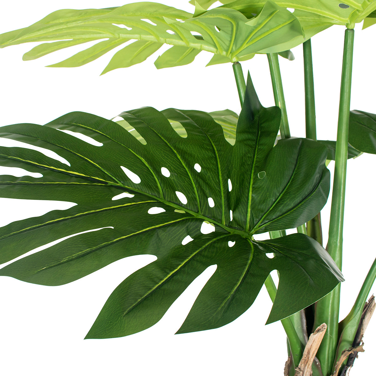 GloboStar® Artificial Garden MONSTERA SET 20090 Τεχνητό Διακοσμητικό Σετ Φυτών Μονστέρα A:Υ300cm B:Υ200cm C:150cm - ledmania.gr