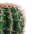 GloboStar® Artificial Garden FEROCACTUS 20092 Τεχνητό Διακοσμητικό Φυτό Φερόκακτος Υ26cm - ledmania.gr