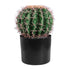 GloboStar® Artificial Garden FEROCACTUS 20092 Τεχνητό Διακοσμητικό Φυτό Φερόκακτος Υ26cm - ledmania.gr