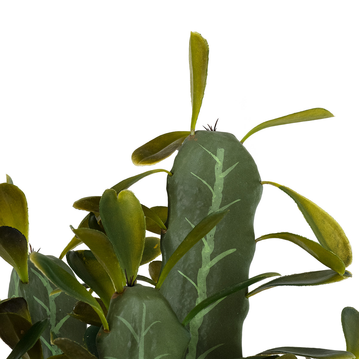 GloboStar® Artificial Garden CEREUS JAMACARU CACTUS 20102 Τεχνητό Διακοσμητικό Φυτό Κάκτος Κηρίος Υ62cm - ledmania.gr