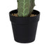 GloboStar® Artificial Garden CEREUS JAMACARU CACTUS 20102 Τεχνητό Διακοσμητικό Φυτό Κάκτος Κηρίος Υ62cm - ledmania.gr
