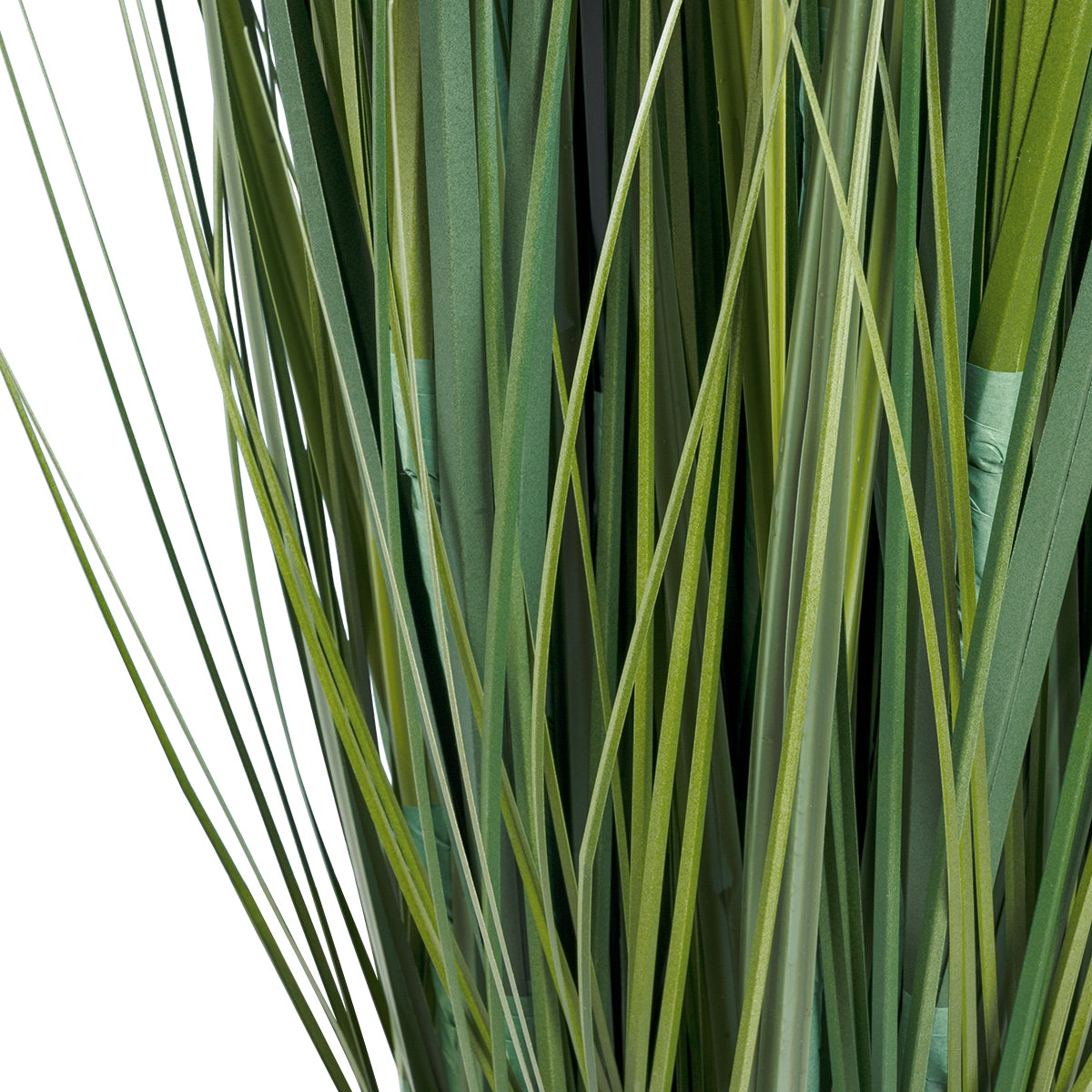 GloboStar® Artificial Garden SACCHARUM 20104 Τεχνητό Διακοσμητικό Φυτό Ζαχαροκάλαμο Υ150cm - ledmania.gr
