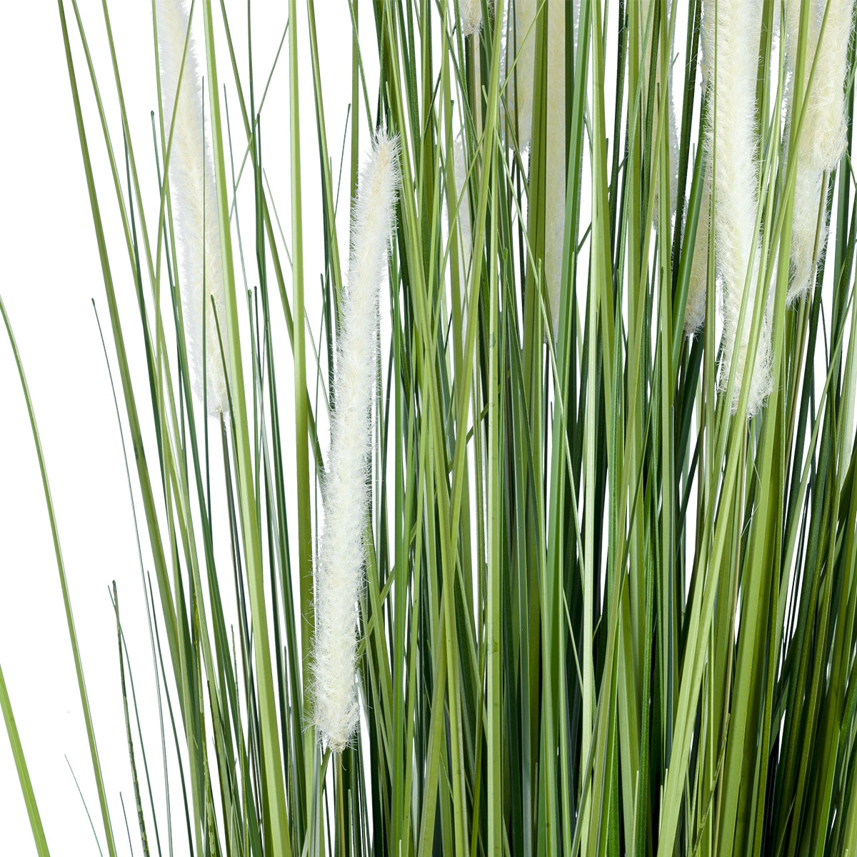GloboStar® Artificial Garden SACCHARUM 20104 Τεχνητό Διακοσμητικό Φυτό Ζαχαροκάλαμο Υ150cm - ledmania.gr