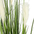 GloboStar® Artificial Garden PAMPAS GRASS 20106 Τεχνητό Διακοσμητικό Φυτό Γρασίδι της Πάμπας Υ150cm - ledmania.gr