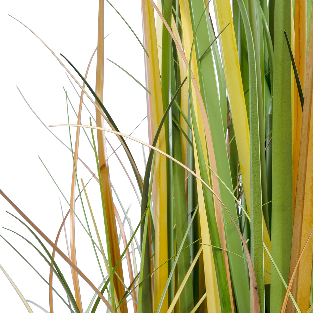 GloboStar® Artificial Garden PAMPAS GRASS 20108 Τεχνητό Διακοσμητικό Φυτό Γρασίδι της Πάμπας Υ150cm - ledmania.gr