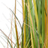 GloboStar® Artificial Garden PAMPAS GRASS 20108 Τεχνητό Διακοσμητικό Φυτό Γρασίδι της Πάμπας Υ150cm - ledmania.gr