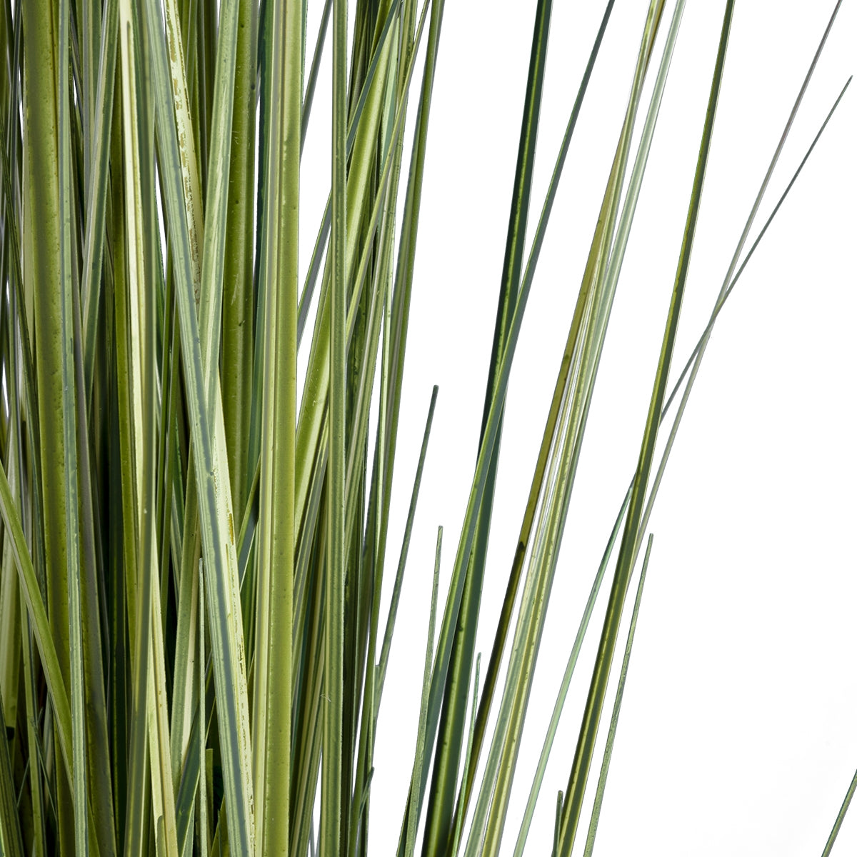 GloboStar® Artificial Garden LAGURUS GRASS 20111 Τεχνητό Διακοσμητικό Φυτό Λαγοουρά Υ150cm - ledmania.gr