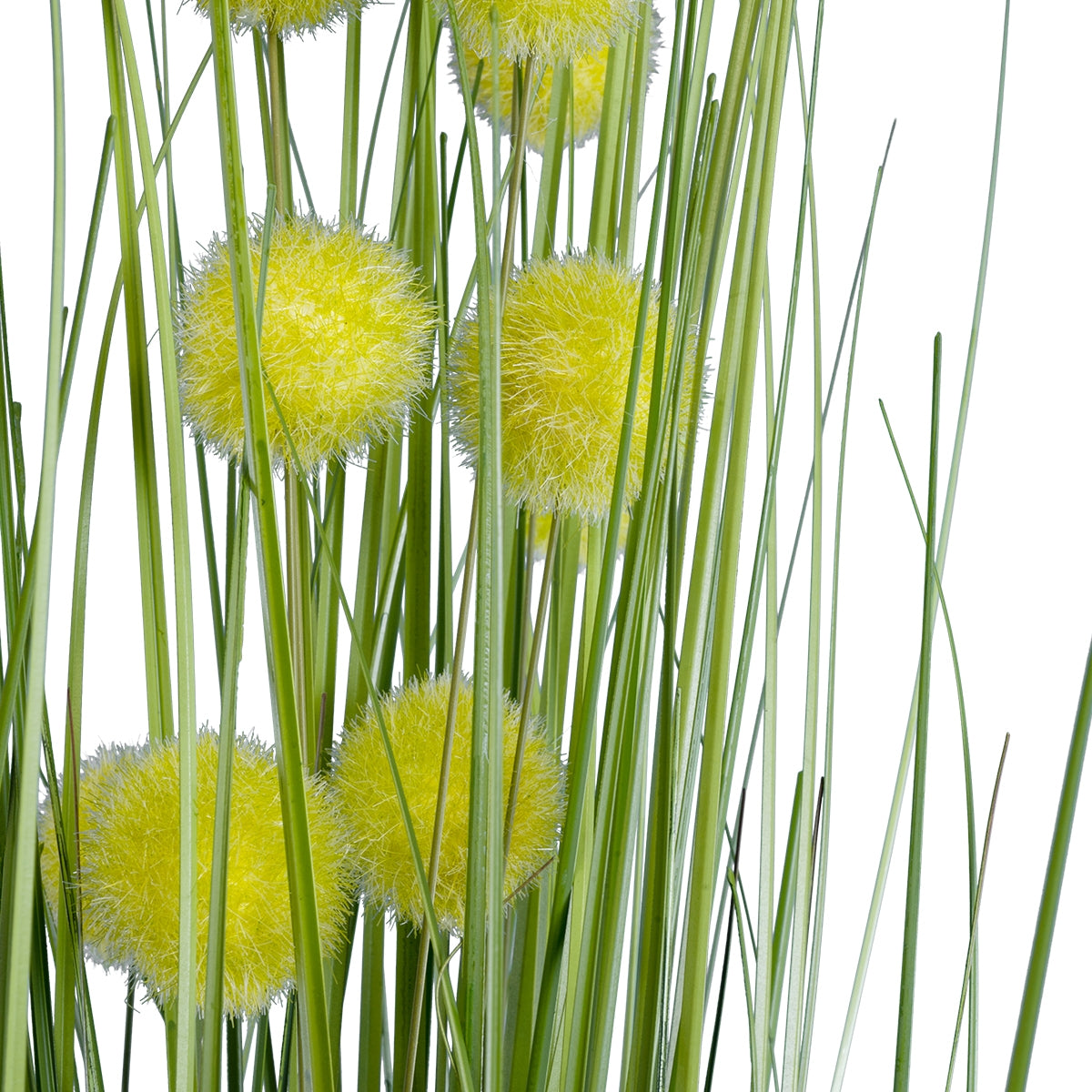 GloboStar® Artificial Garden CRASPEDIA GRASS 20112 Τεχνητό Διακοσμητικό Φυτό Κρασπέδια Υ150cm - ledmania.gr