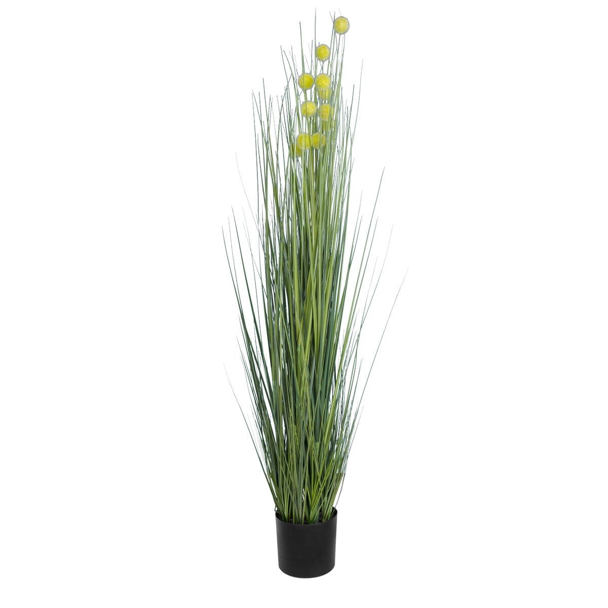 GloboStar® Artificial Garden CRASPEDIA GRASS 20112 Τεχνητό Διακοσμητικό Φυτό Κρασπέδια Υ150cm - ledmania.gr