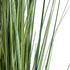 GloboStar® Artificial Garden CRASPEDIA GRASS 20112 Τεχνητό Διακοσμητικό Φυτό Κρασπέδια Υ150cm - ledmania.gr