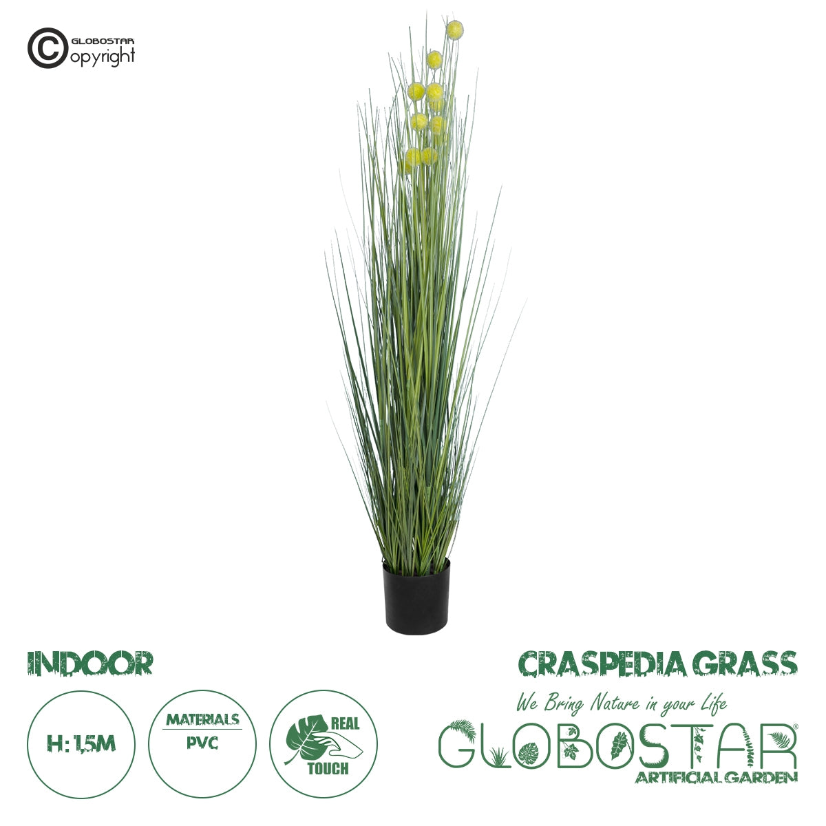 GloboStar® Artificial Garden CRASPEDIA GRASS 20112 Τεχνητό Διακοσμητικό Φυτό Κρασπέδια Υ150cm - ledmania.gr