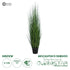 GloboStar® Artificial Garden MISCANTHUS SINENSIS 20116 Τεχνητό Διακοσμητικό Φυτό Μίσχανθος Υ120cm - ledmania.gr