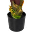 GloboStar® Artificial Garden BLOODY BANANA TREE 20118 Τεχνητό Διακοσμητικό Φυτό Αιματόφυλλη Μπανανιά - Μπανανόδεντρο Υ190cm - ledmania.gr