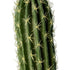 GloboStar® Artificial Garden CEREUS JAMACARU CACTUS 20120 Τεχνητό Διακοσμητικό Φυτό Κάκτος Κηρίος Υ110cm - ledmania.gr