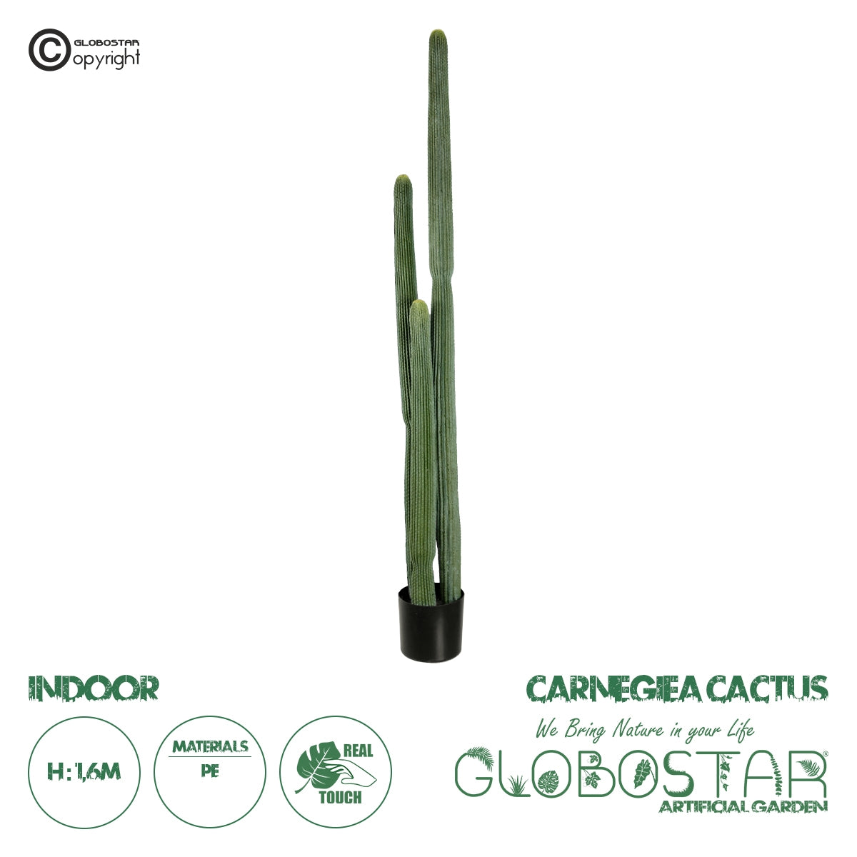 GloboStar® Artificial Garden CARNEGIEA CACTUS 20123 Τεχνητό Διακοσμητικό Φυτό Κάκτος Σαγκουάρο Υ160cm - ledmania.gr