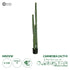 GloboStar® Artificial Garden CARNEGIEA CACTUS 20123 Τεχνητό Διακοσμητικό Φυτό Κάκτος Σαγκουάρο Υ160cm - ledmania.gr