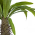 GloboStar® Artificial Garden PACHYPODIUM LAMEREI PALM TREE 20129 Τεχνητό Διακοσμητικό Φυτό Φοίνικας της Μαγαδασκάρης Υ105cm - ledmania.gr