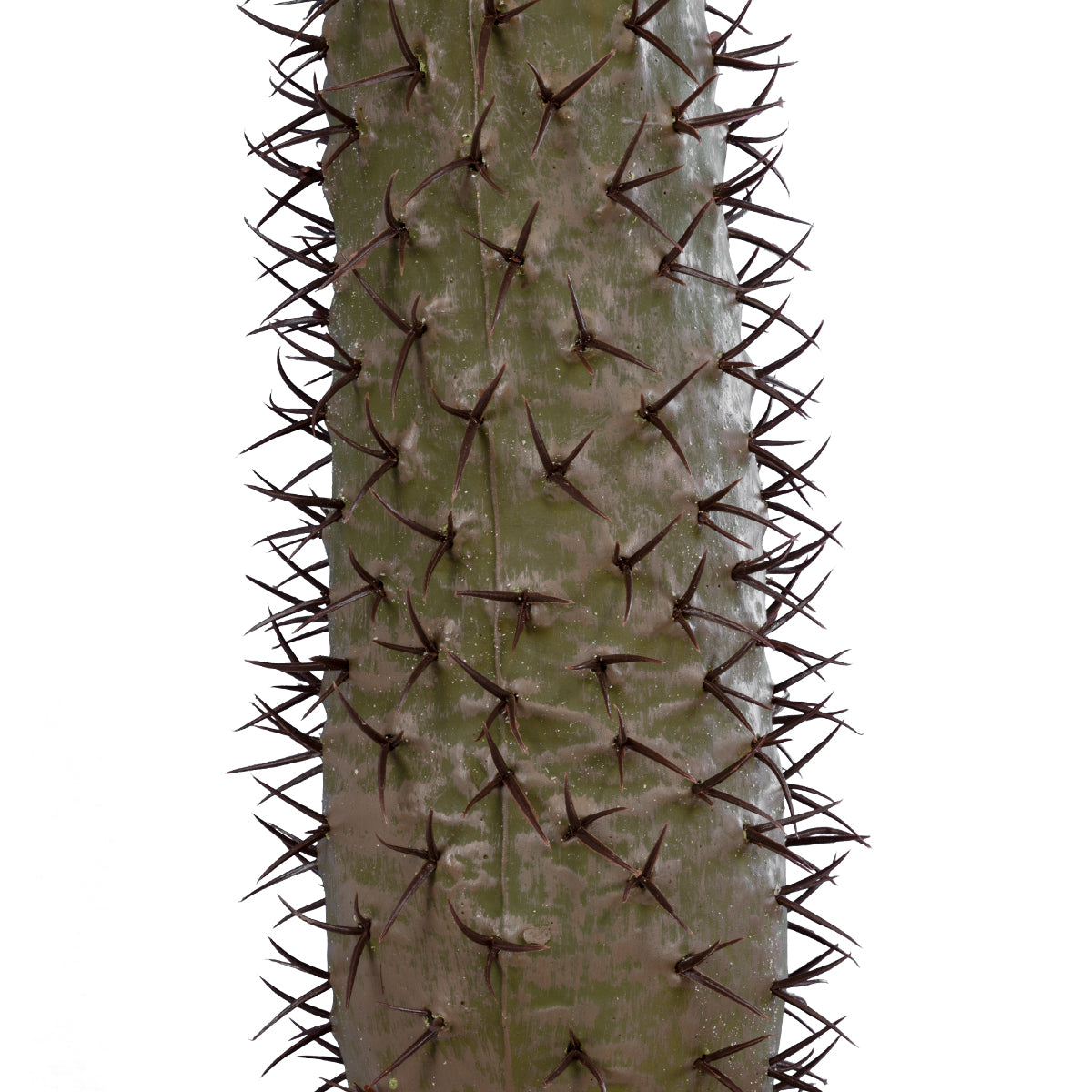 GloboStar® Artificial Garden PACHYPODIUM LAMEREI PALM TREE 20129 Τεχνητό Διακοσμητικό Φυτό Φοίνικας της Μαγαδασκάρης Υ105cm - ledmania.gr