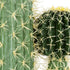 GloboStar® Artificial Garden CARNEGIEA CACTUS 20135 Τεχνητό Διακοσμητικό Φυτό Κάκτος Σαγκουάρο Υ180cm - ledmania.gr