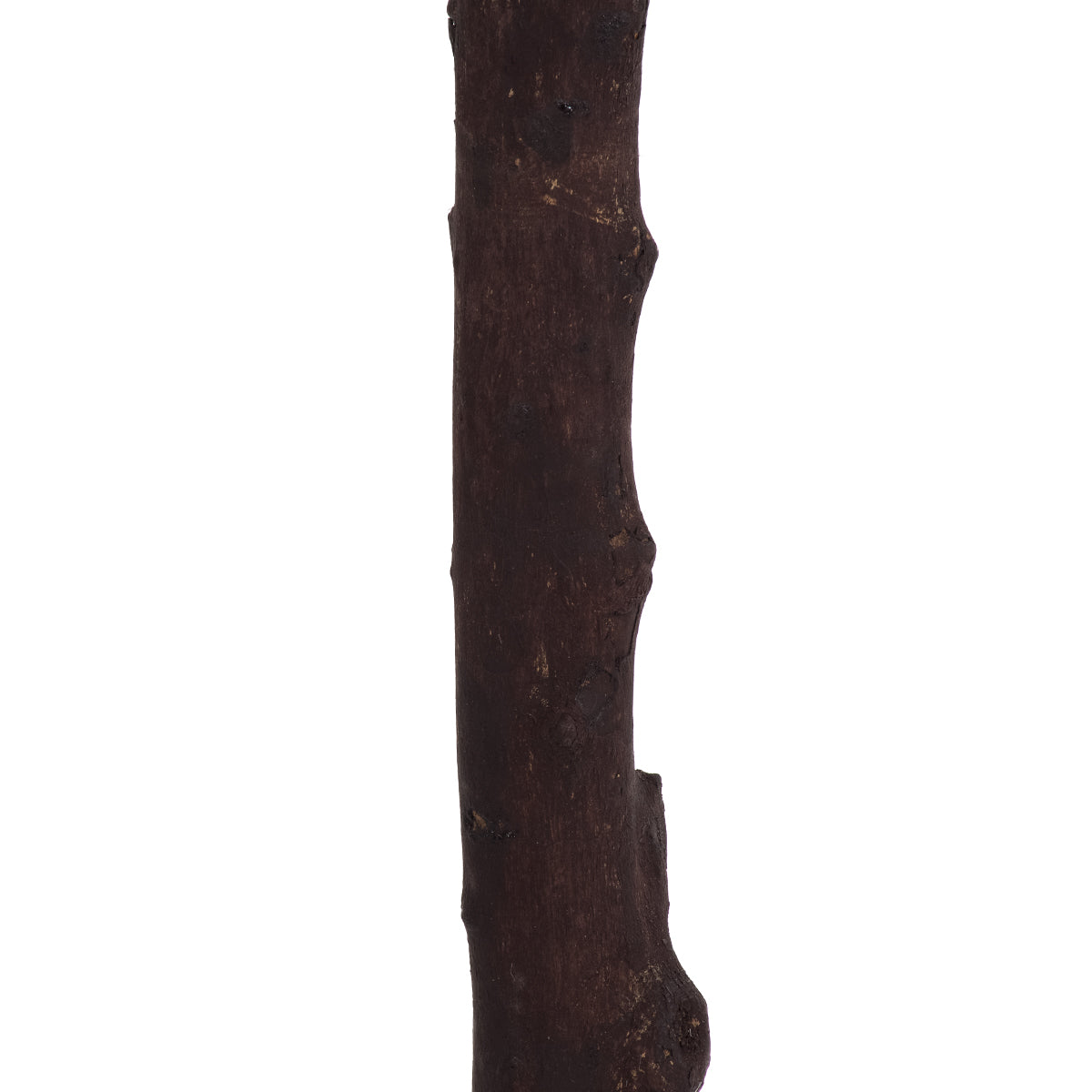 GloboStar® Artificial Garden SALMON CHERRY BLOSSOM TREE 20139 Τεχνητό Διακοσμητικό Δέντρο Σομόν Κερασιά Υ160cm - ledmania.gr