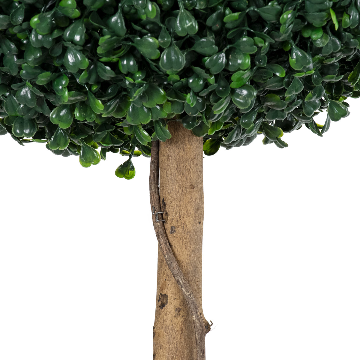 GloboStar® Artificial Garden BUXUS 20142 Τεχνητό Διακοσμητικό Φυτό Πυξός Υ120cm - ledmania.gr