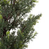GloboStar® Artificial Garden LEMON CYPRESS 20151 Τεχνητό Διακοσμητικό Φυτό Λεμονόκυπάρισσο Υ120cm - ledmania.gr