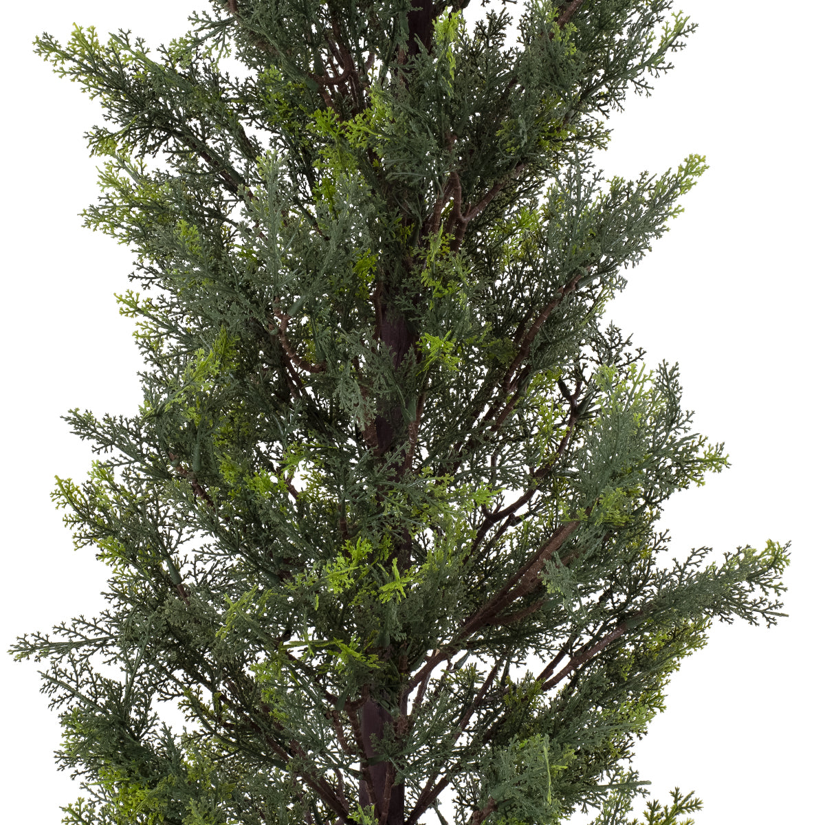 GloboStar® Artificial Garden LEMON CYPRESS 20151 Τεχνητό Διακοσμητικό Φυτό Λεμονόκυπάρισσο Υ120cm - ledmania.gr