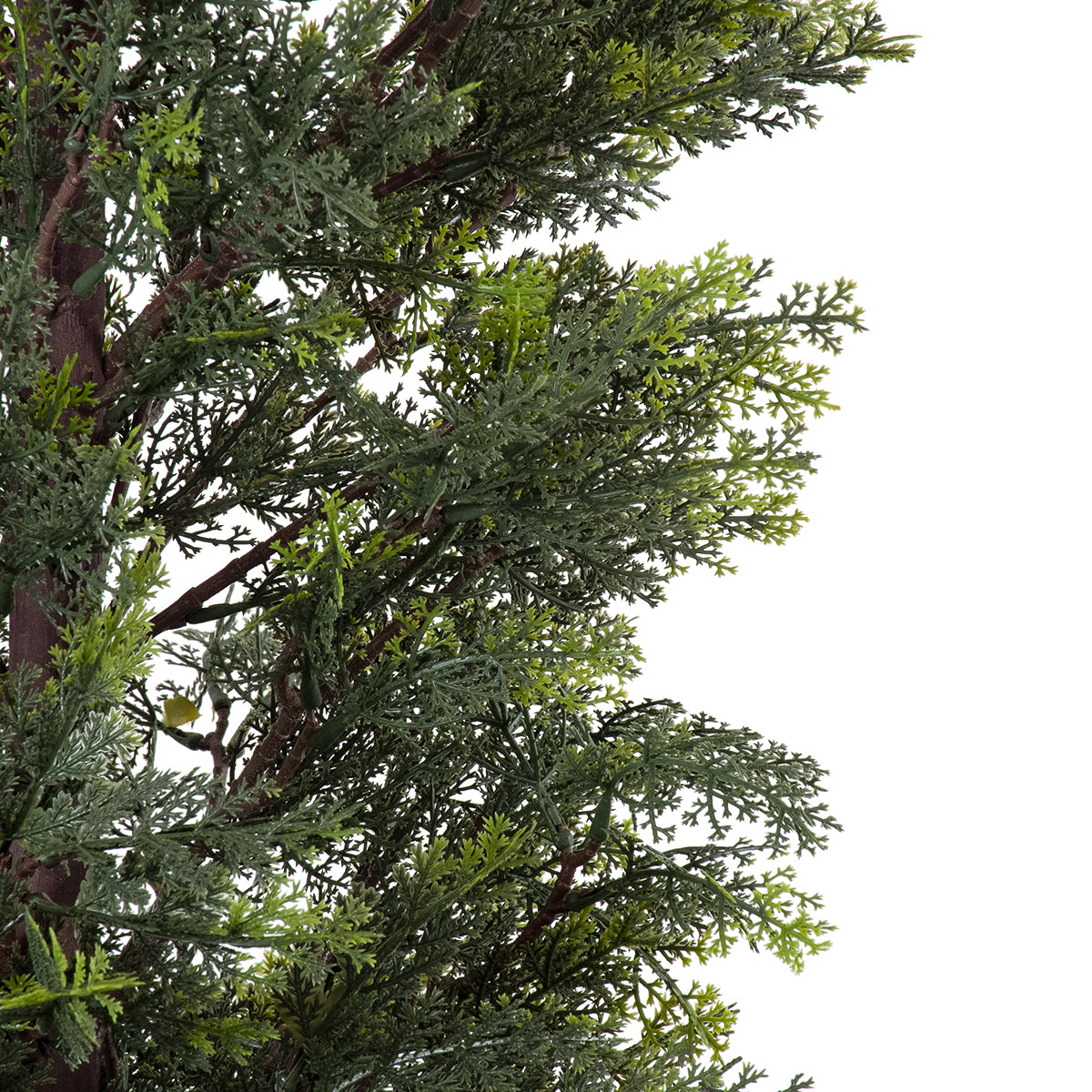 GloboStar® Artificial Garden LEMON CYPRESS 20152 Τεχνητό Διακοσμητικό Φυτό Λεμονόκυπάρισσο Υ150cm - ledmania.gr